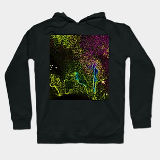 Black Panther Art - Glowing Edges 146 Hoodie